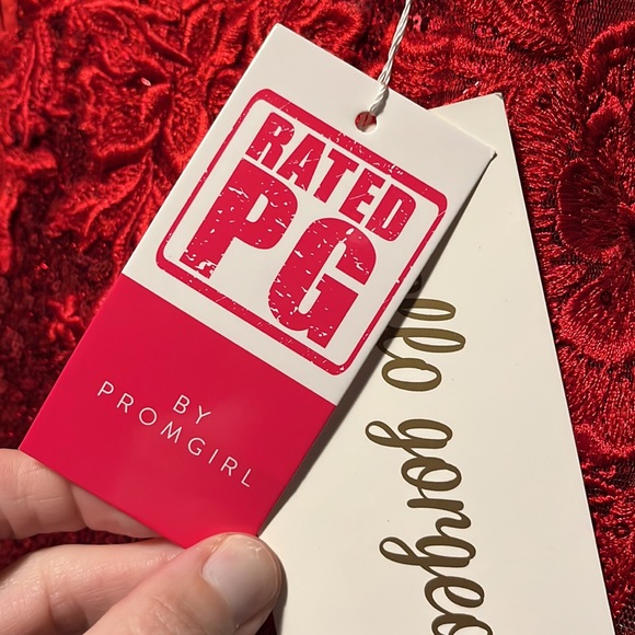 PromGirl Sparkly Bright Red Sequin Long Prom Dress
Red / 4
New with tags - Picture 7 of 7